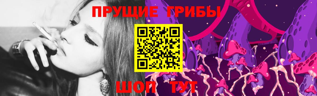 Старая Купавна  Псилоцибиновые грибы прущие грибы  Вход с VPN 